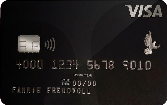 Wüstenrot card complete Platinum