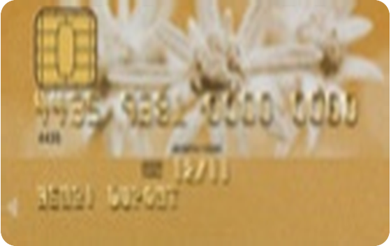 Migros Bank Visa Gold